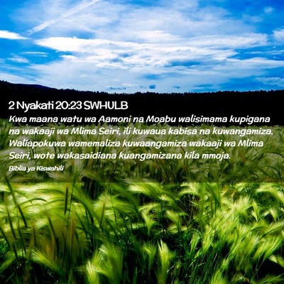 Picture 02 - 2 Nyakati 20:23 SWHULB - Kwa maana watu wa Aamoni na Moabu walisimama - Bible Verse Picture