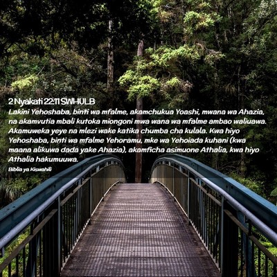 Picture 02 - 2 Nyakati 22:11 SWHULB - Lakini Yehoshaba, binti wa mfalme, akamchukua - Bible Verse Picture