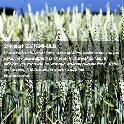 Picture 02 - 2 Nyakati 23:11 SWHULB - Kisha wakamleta nje mwana wa mfalme, wakaiweka - Bible Verse Picture