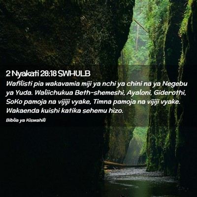 Picture 02 - 2 Nyakati 28:18 SWHULB - Wafilisti pia wakavamia miji ya nchi ya chini na - Bible Verse Picture