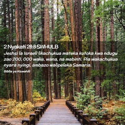 Picture 02 - 2 Nyakati 28:8 SWHULB - Jeshsi la Israeli likachukua mateka kutoka kwa - Bible Verse Picture