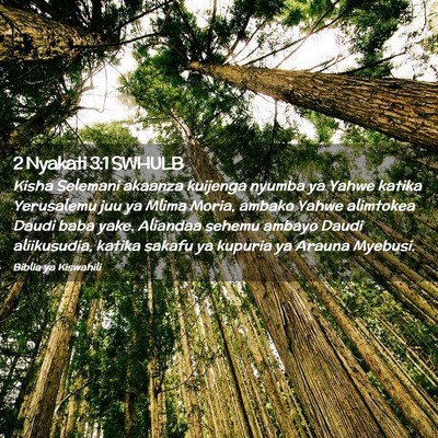 Picture 02 - 2 Nyakati 3:1 SWHULB - Kisha Selemani akaanza kuijenga nyumba ya Yahwe - Bible Verse Picture