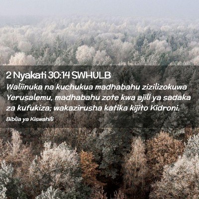 Picture 02 - 2 Nyakati 30:14 SWHULB - Waliinuka na kuchukua madhabahu zizilizokuwa - Bible Verse Picture