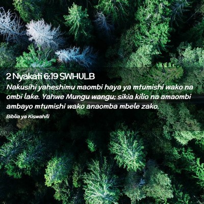 Picture 02 - 2 Nyakati 6:19 SWHULB - Nakusihi yaheshimu maombi haya ya mtumishi wako - Bible Verse Picture