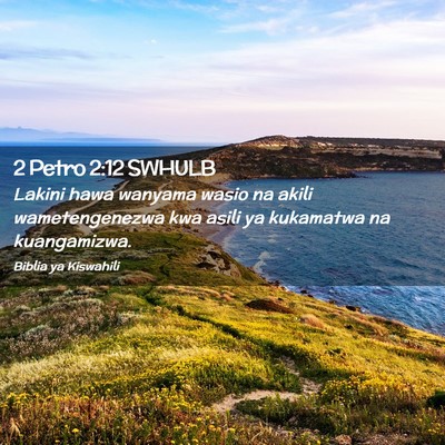 Picture 02 - 2 Petro 2:12 SWHULB - Lakini hawa wanyama wasio na akili wametengenezwa - Bible Verse Picture