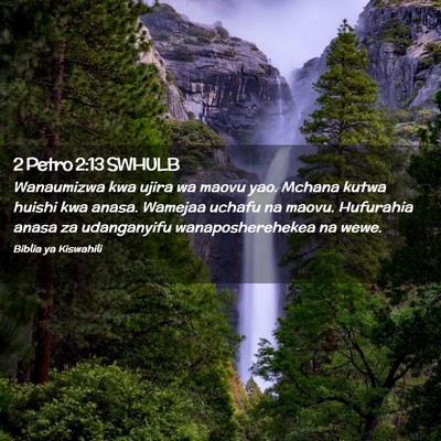 Picture 02 - 2 Petro 2:13 SWHULB - Wanaumizwa kwa ujira wa maovu yao. Mchana kutwa - Bible Verse Picture