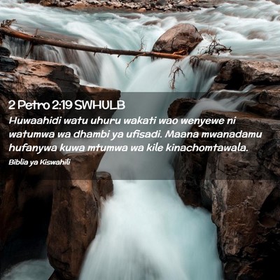 Picture 02 - 2 Petro 2:19 SWHULB - Huwaahidi watu uhuru wakati wao wenyewe ni - Bible Verse Picture