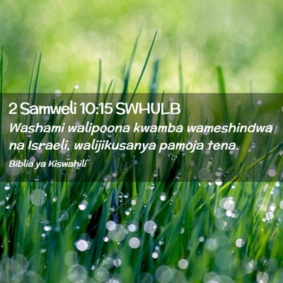 Picture 02 - 2 Samweli 10:15 SWHULB - Washami walipoona kwamba wameshindwa na Israeli, - Bible Verse Picture