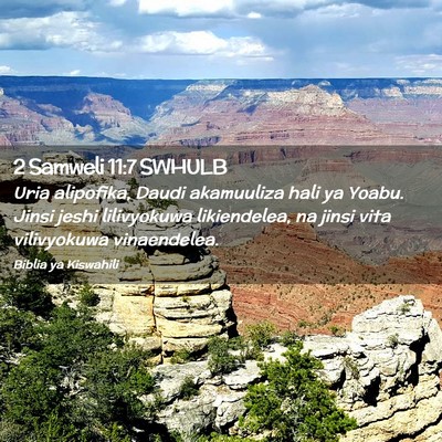Picture 02 - 2 Samweli 11:7 SWHULB - Uria alipofika, Daudi akamuuliza hali ya Yoabu. - Bible Verse Picture