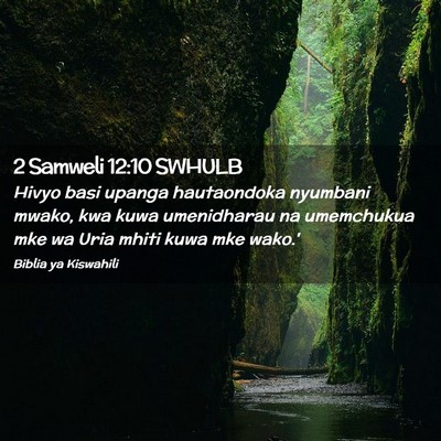 Picture 02 - 2 Samweli 12:10 SWHULB - Hivyo basi upanga hautaondoka nyumbani mwako, kwa - Bible Verse Picture