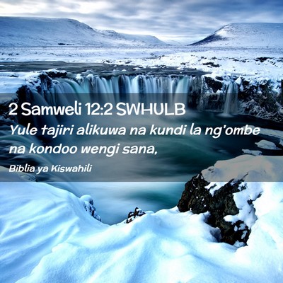 Picture 02 - 2 Samweli 12:2 SWHULB - Yule tajiri alikuwa na kundi la ng'ombe na kondoo - Bible Verse Picture