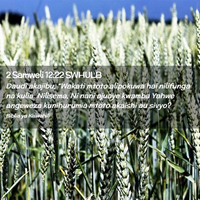 Picture 02 - 2 Samweli 12:22 SWHULB - Daudi akajibu, “Wakati mtoto alipokuwa hai - Bible Verse Picture