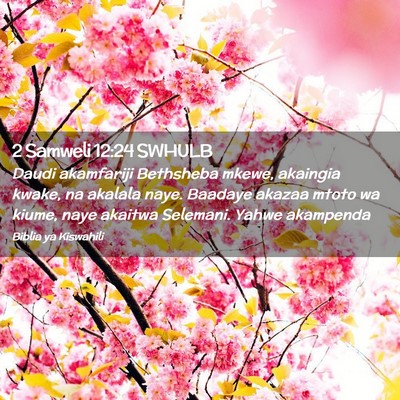 Picture 02 - 2 Samweli 12:24 SWHULB - Daudi akamfariji Bethsheba mkewe, akaingia kwake, - Bible Verse Picture