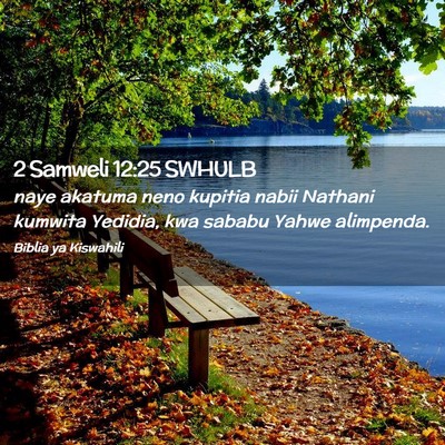 Picture 02 - 2 Samweli 12:25 SWHULB - naye akatuma neno kupitia nabii Nathani kumwita - Bible Verse Picture