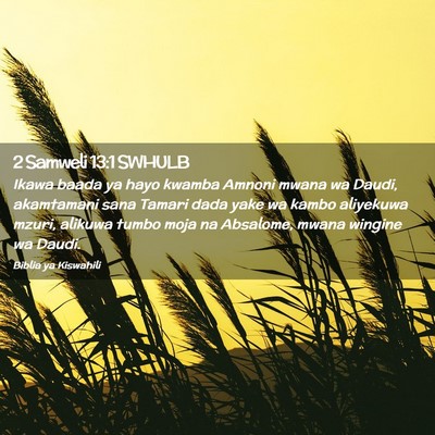 Picture 02 - 2 Samweli 13:1 SWHULB - Ikawa baada ya hayo kwamba Amnoni mwana wa Daudi, - Bible Verse Picture