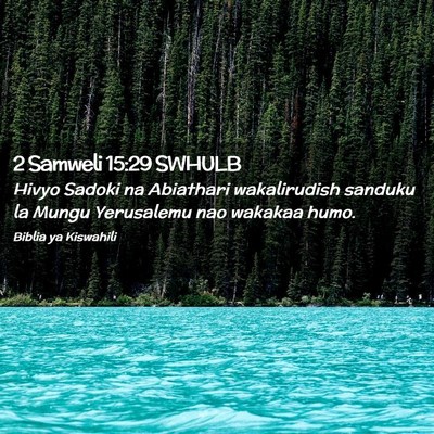 Picture 02 - 2 Samweli 15:29 SWHULB - Hivyo Sadoki na Abiathari wakalirudish sanduku la - Bible Verse Picture