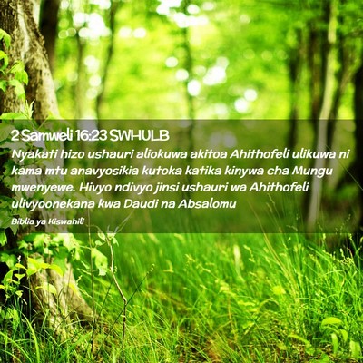 Picture 02 - 2 Samweli 16:23 SWHULB - Nyakati hizo ushauri aliokuwa akitoa Ahithofeli - Bible Verse Picture