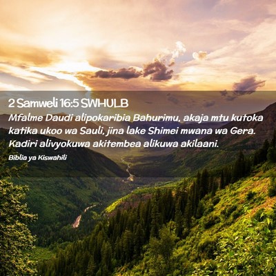 Picture 02 - 2 Samweli 16:5 SWHULB - Mfalme Daudi alipokaribia Bahurimu, akaja mtu - Bible Verse Picture
