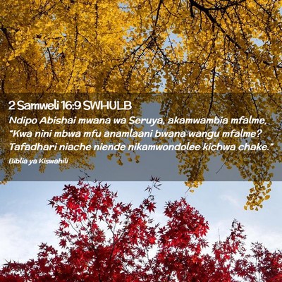 Picture 02 - 2 Samweli 16:9 SWHULB - Ndipo Abishai mwana wa Seruya, akamwambia mfalme, - Bible Verse Picture