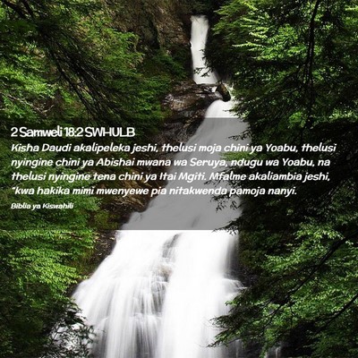 Picture 02 - 2 Samweli 18:2 SWHULB - Kisha Daudi akalipeleka jeshi, thelusi moja chini - Bible Verse Picture