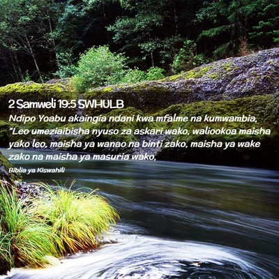 Picture 02 - 2 Samweli 19:5 SWHULB - Ndipo Yoabu akaingia ndani kwa mfalme na - Bible Verse Picture