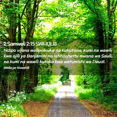 Picture 02 - 2 Samweli 2:15 SWHULB - Ndipo vijana walipoinuka na kukutana, kumi na - Bible Verse Picture