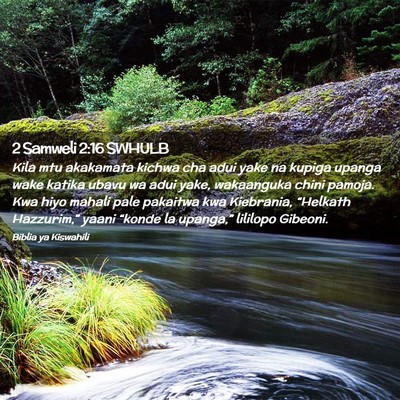 Picture 02 - 2 Samweli 2:16 SWHULB - Kila mtu akakamata kichwa cha adui yake na kupiga - Bible Verse Picture