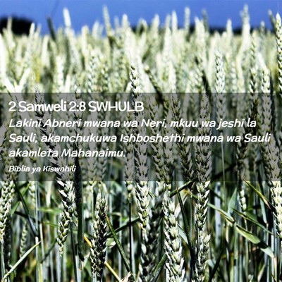 Picture 02 - 2 Samweli 2:8 SWHULB - Lakini Abneri mwana wa Neri, mkuu wa jeshi la - Bible Verse Picture