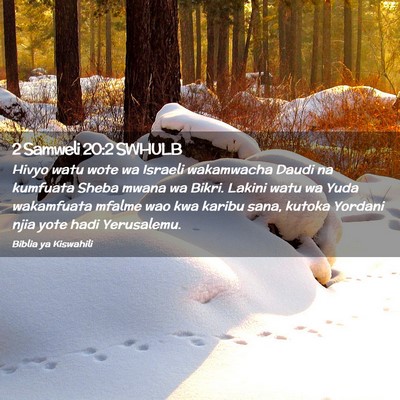 Picture 02 - 2 Samweli 20:2 SWHULB - Hivyo watu wote wa Israeli wakamwacha Daudi na - Bible Verse Picture