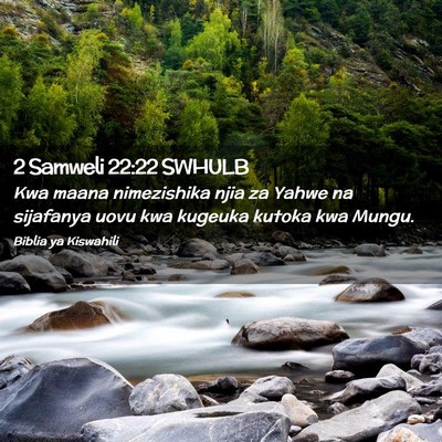 Picture 02 - 2 Samweli 22:22 SWHULB - Kwa maana nimezishika njia za Yahwe na sijafanya - Bible Verse Picture