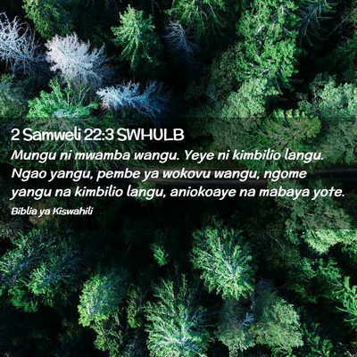 Picture 02 - 2 Samweli 22:3 SWHULB - Mungu ni mwamba wangu. Yeye ni kimbilio langu. - Bible Verse Picture