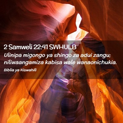 Picture 02 - 2 Samweli 22:41 SWHULB - Ulinipa migongo ya shingo za adui zangu; - Bible Verse Picture