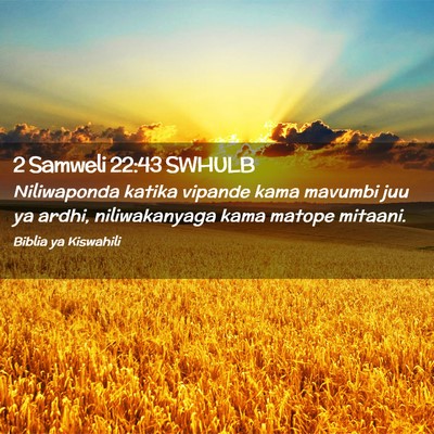 Picture 02 - 2 Samweli 22:43 SWHULB - Niliwaponda katika vipande kama mavumbi juu ya - Bible Verse Picture