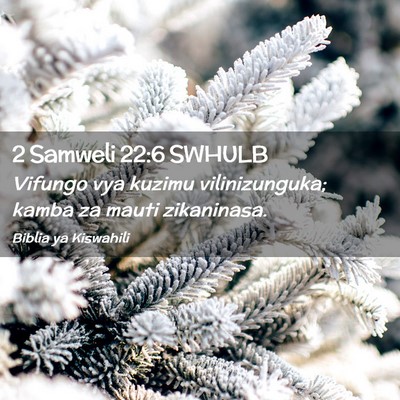 Picture 02 - 2 Samweli 22:6 SWHULB - Vifungo vya kuzimu vilinizunguka; kamba za mauti - Bible Verse Picture