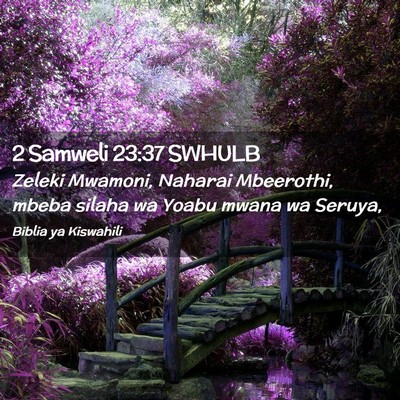 Picture 02 - 2 Samweli 23:37 SWHULB - Zeleki Mwamoni, Naharai Mbeerothi, mbeba silaha - Bible Verse Picture