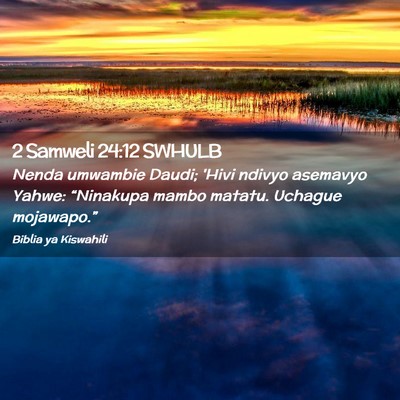 Picture 02 - 2 Samweli 24:12 SWHULB - Nenda umwambie Daudi; 'Hivi ndivyo asemavyo - Bible Verse Picture