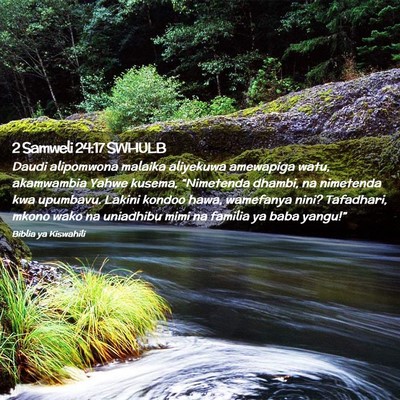 Picture 02 - 2 Samweli 24:17 SWHULB - Daudi alipomwona malaika aliyekuwa amewapiga - Bible Verse Picture