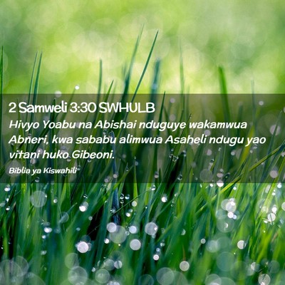 Picture 02 - 2 Samweli 3:30 SWHULB - Hivyo Yoabu na Abishai nduguye wakamwua Abneri, - Bible Verse Picture