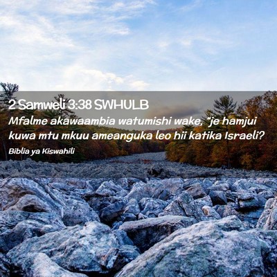 Picture 02 - 2 Samweli 3:38 SWHULB - Mfalme akawaambia watumishi wake, “je hamjui - Bible Verse Picture