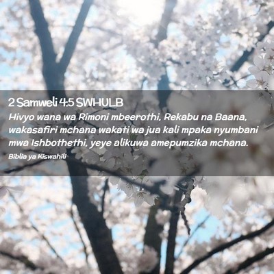 Picture 02 - 2 Samweli 4:5 SWHULB - Hivyo wana wa Rimoni mbeerothi, Rekabu na Baana, - Bible Verse Picture