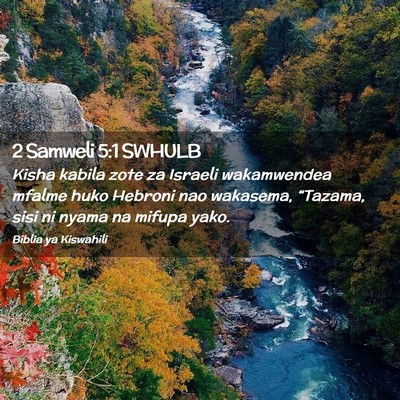 Picture 02 - 2 Samweli 5:1 SWHULB - Kisha kabila zote za Israeli wakamwendea mfalme - Bible Verse Picture