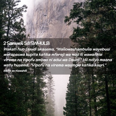 Picture 02 - 2 Samweli 5:8 SWHULB - Wakati huo Daudi akasema, “Waliowashambulia - Bible Verse Picture