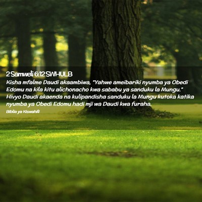 Picture 02 - 2 Samweli 6:12 SWHULB - Kisha mfalme Daudi akaambiwa, “Yahwe ameibariki - Bible Verse Picture