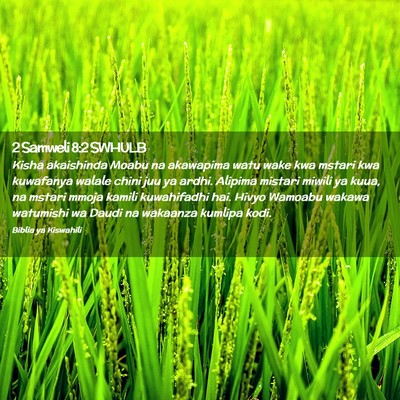 Picture 02 - 2 Samweli 8:2 SWHULB - Kisha akaishinda Moabu na akawapima watu wake kwa - Bible Verse Picture