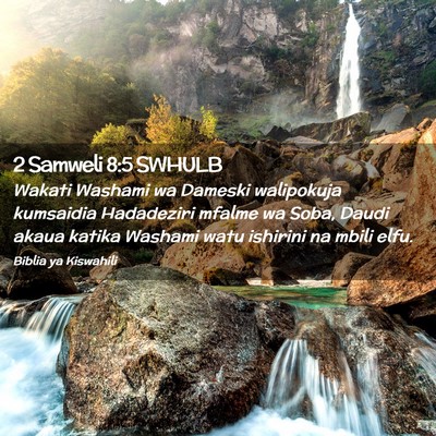 Picture 02 - 2 Samweli 8:5 SWHULB - Wakati Washami wa Dameski walipokuja kumsaidia - Bible Verse Picture