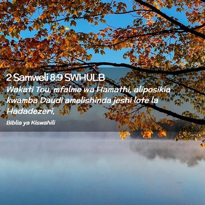 Picture 02 - 2 Samweli 8:9 SWHULB - Wakati Tou, mfalme wa Hamathi, aliposikia kwamba - Bible Verse Picture