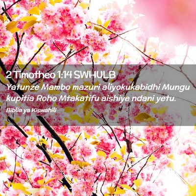 Picture 02 - 2 Timotheo 1:14 SWHULB - Yatunze Mambo mazuri aliyokukabidhi Mungu kupitia - Bible Verse Picture