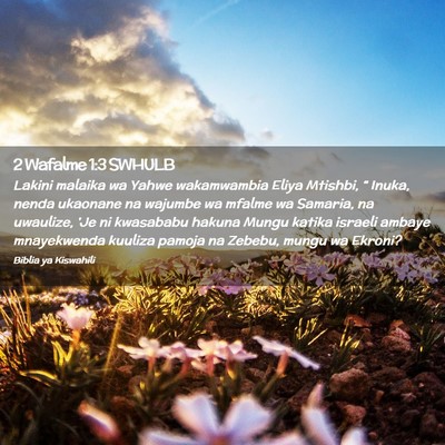Picture 02 - 2 Wafalme 1:3 SWHULB - Lakini malaika wa Yahwe wakamwambia Eliya - Bible Verse Picture