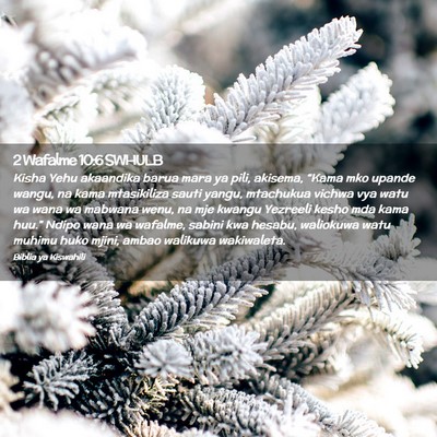 Picture 02 - 2 Wafalme 10:6 SWHULB - Kisha Yehu akaandika barua mara ya pili, akisema, - Bible Verse Picture