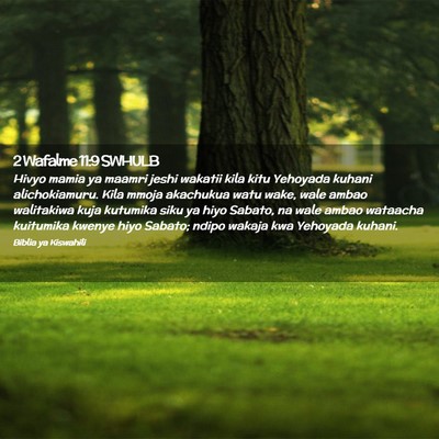 Picture 02 - 2 Wafalme 11:9 SWHULB - Hivyo mamia ya maamri jeshi wakatii kila kitu - Bible Verse Picture